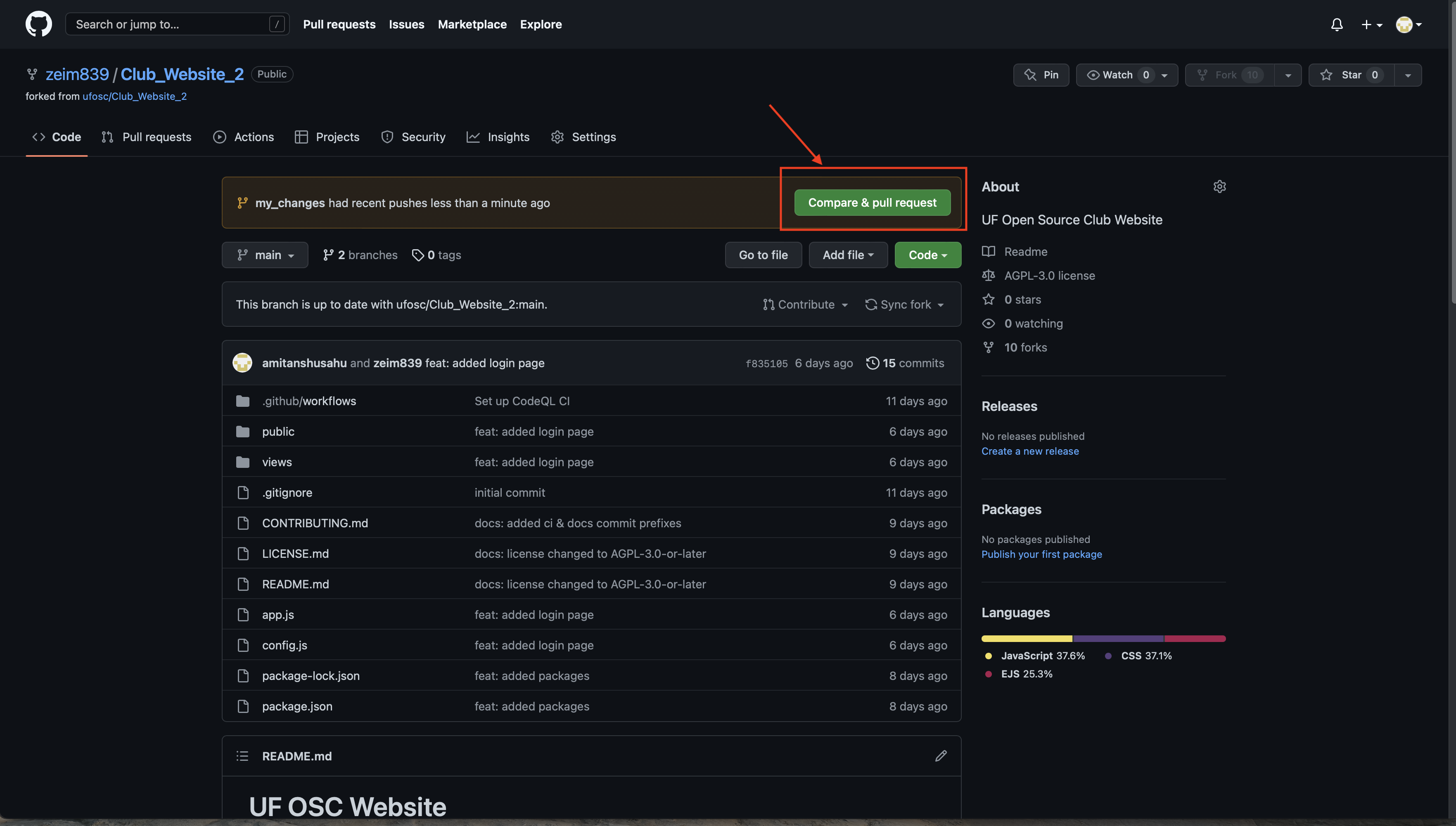 Screenshot of github